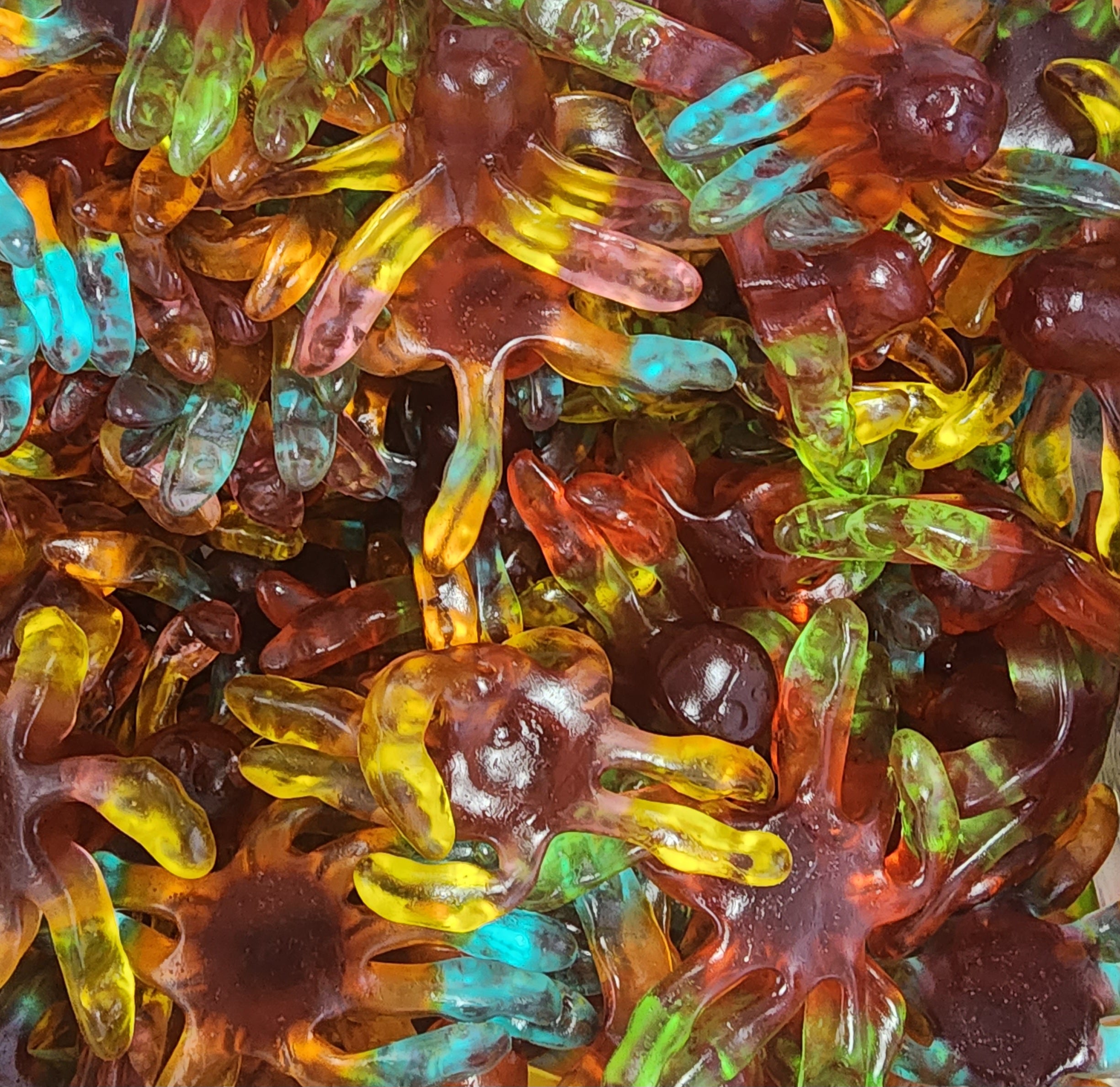 Gummy Octopus-200g