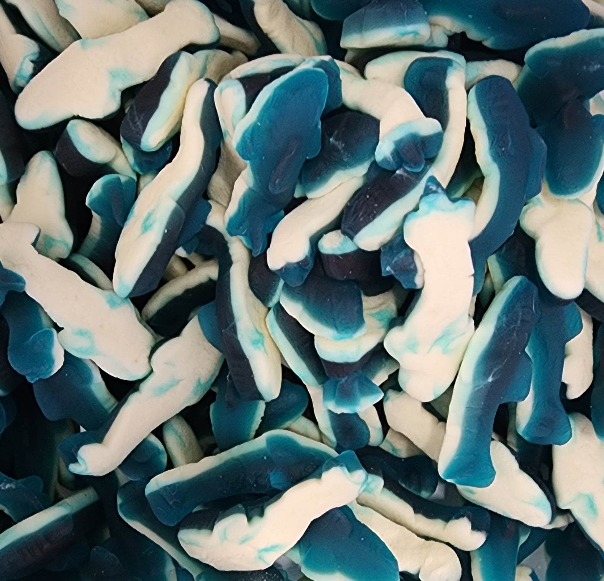 Gummy Sharks-200g – Sugar Stacks and more