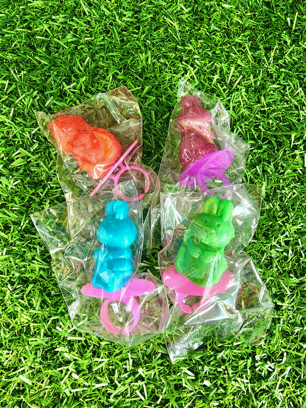 Easter Bunny Lollypop